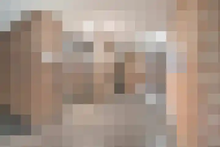 Waterlinie 26 Steenbergen thumbnail 7