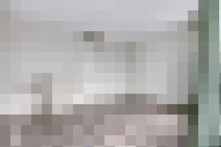 Waterlinie 328 Eindhoven thumbnail 24