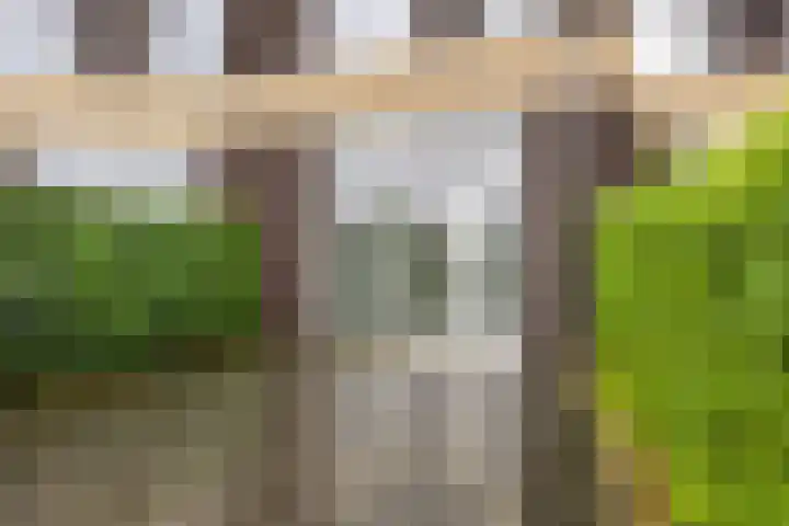 Waterlinie 328 Eindhoven thumbnail 45
