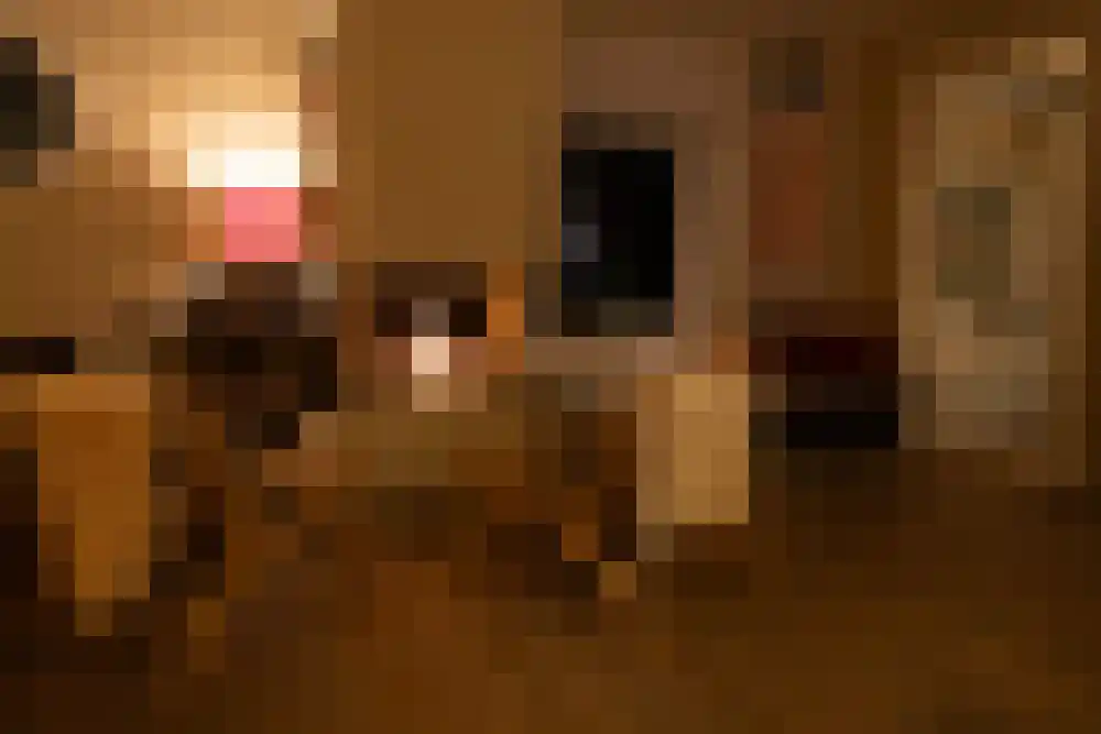 Waterlinie 36 Vijfhuizen thumbnail 17
