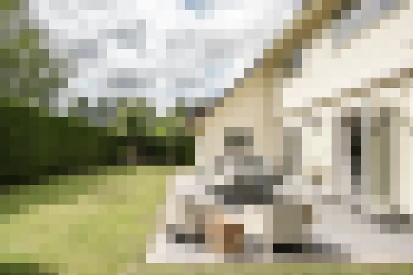 Waterlinie 36 Vijfhuizen thumbnail 31