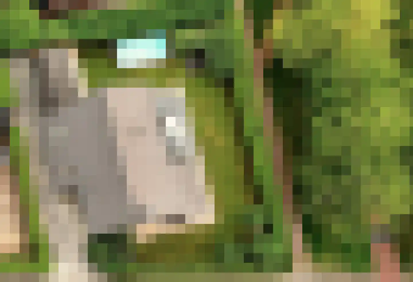 Waterlinie 36 Vijfhuizen thumbnail 32