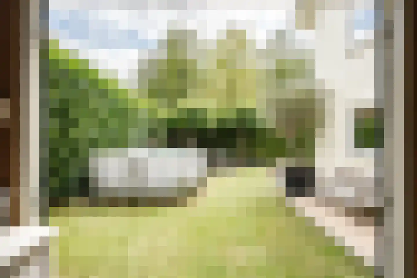 Waterlinie 36 Vijfhuizen thumbnail 38