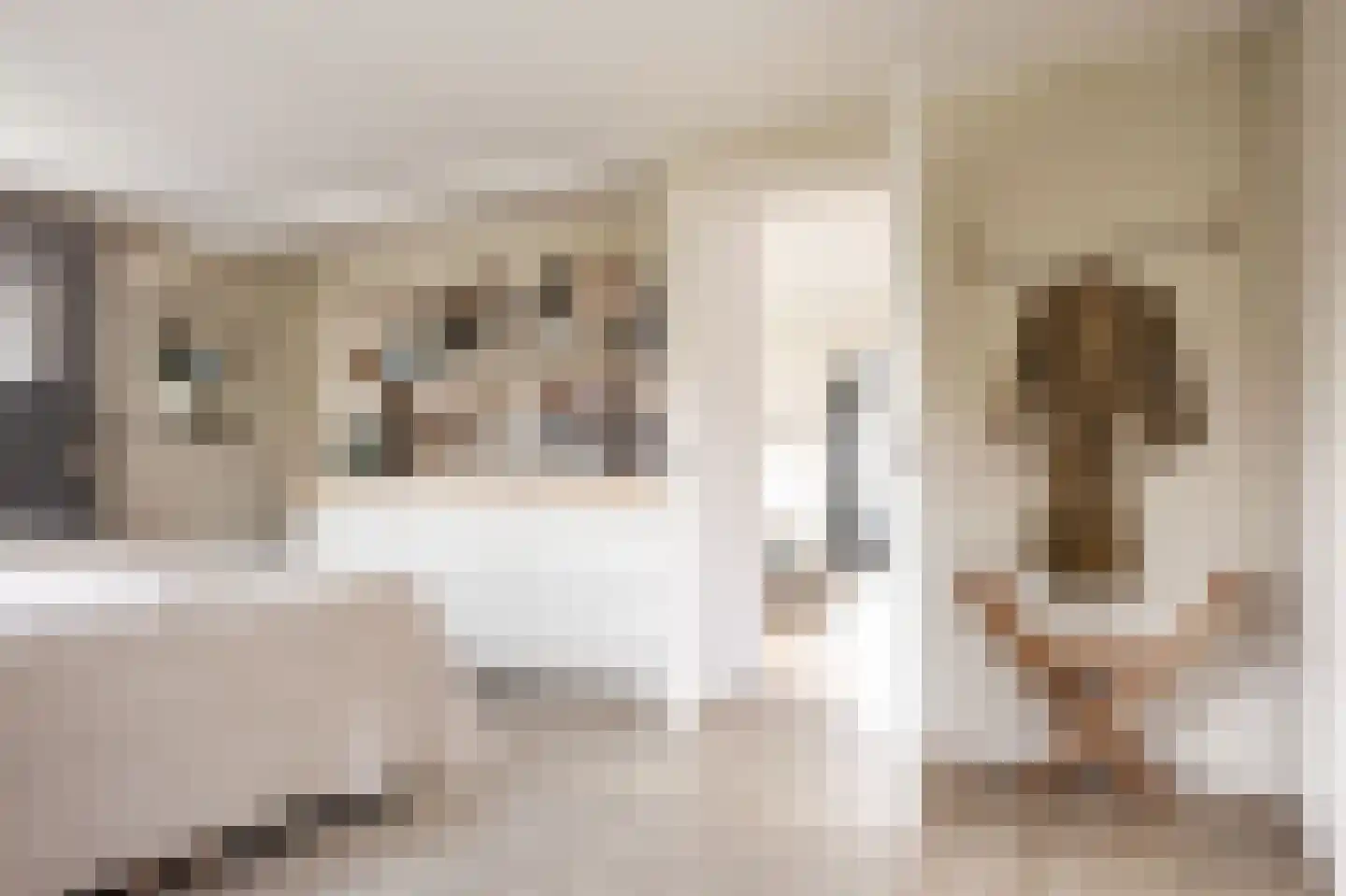 Waterlinie 36 Vijfhuizen thumbnail 46