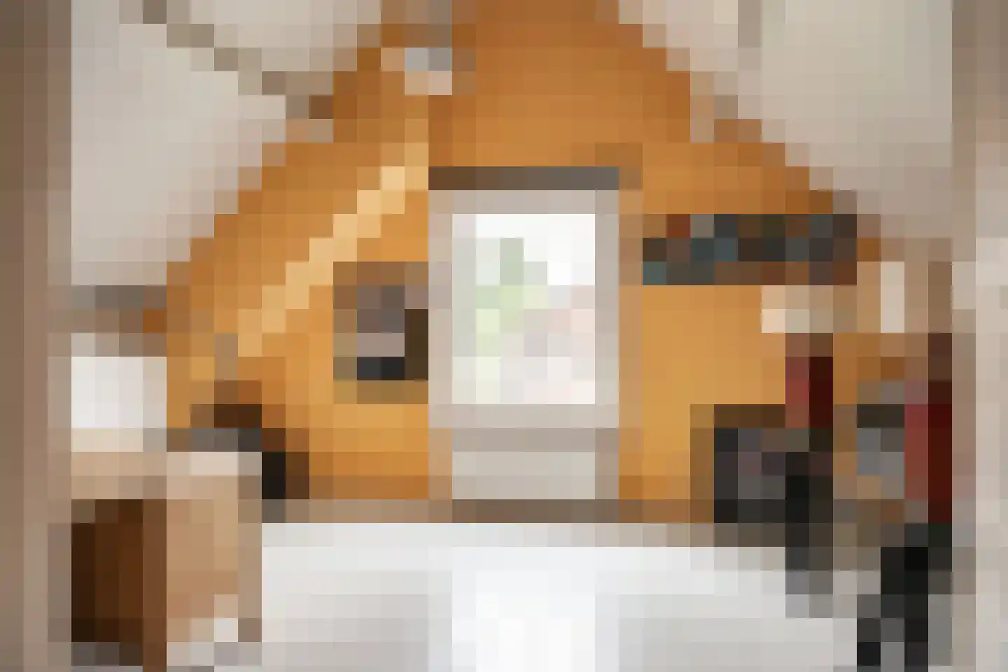 Waterlinie 36 Vijfhuizen thumbnail 61