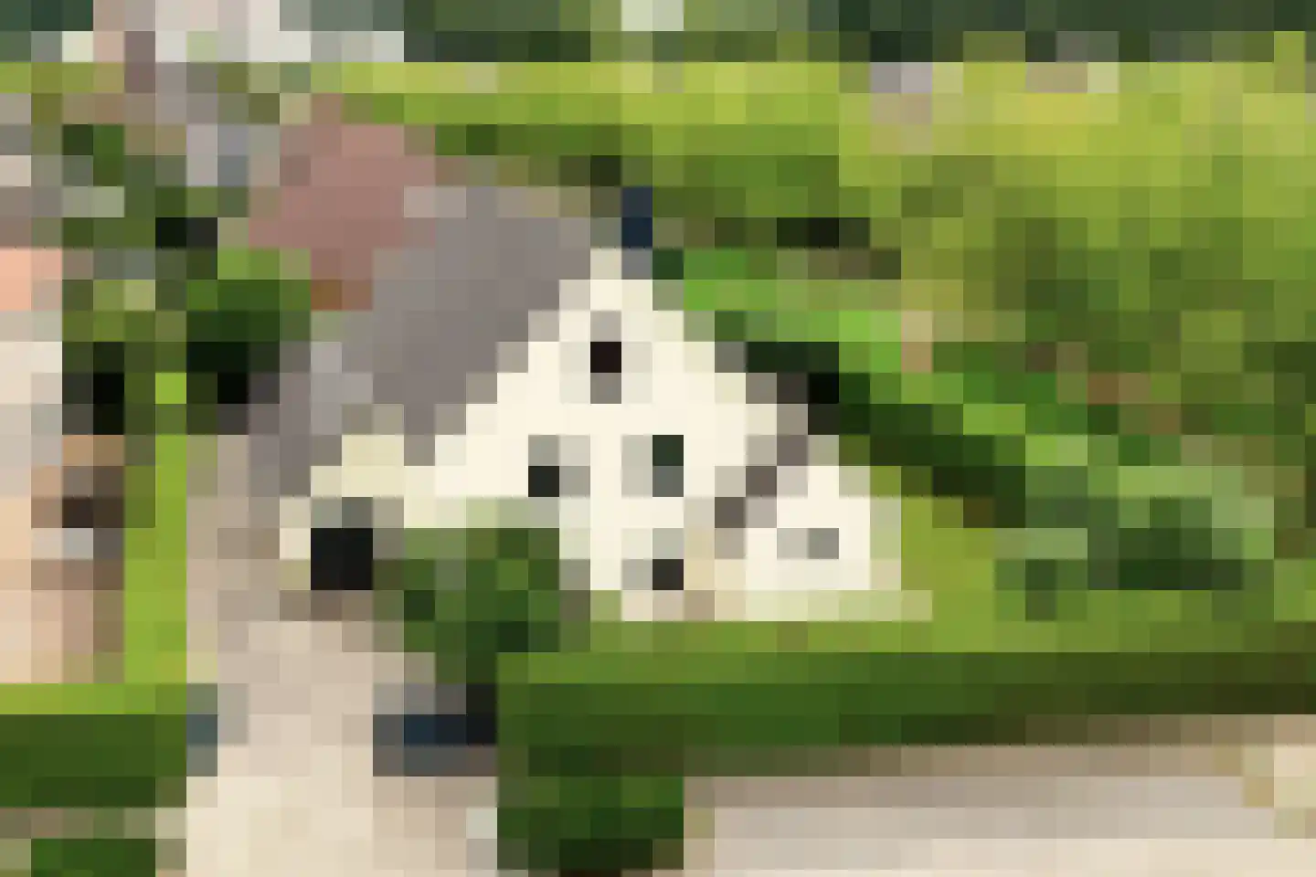 Waterlinie 36 Vijfhuizen thumbnail 64