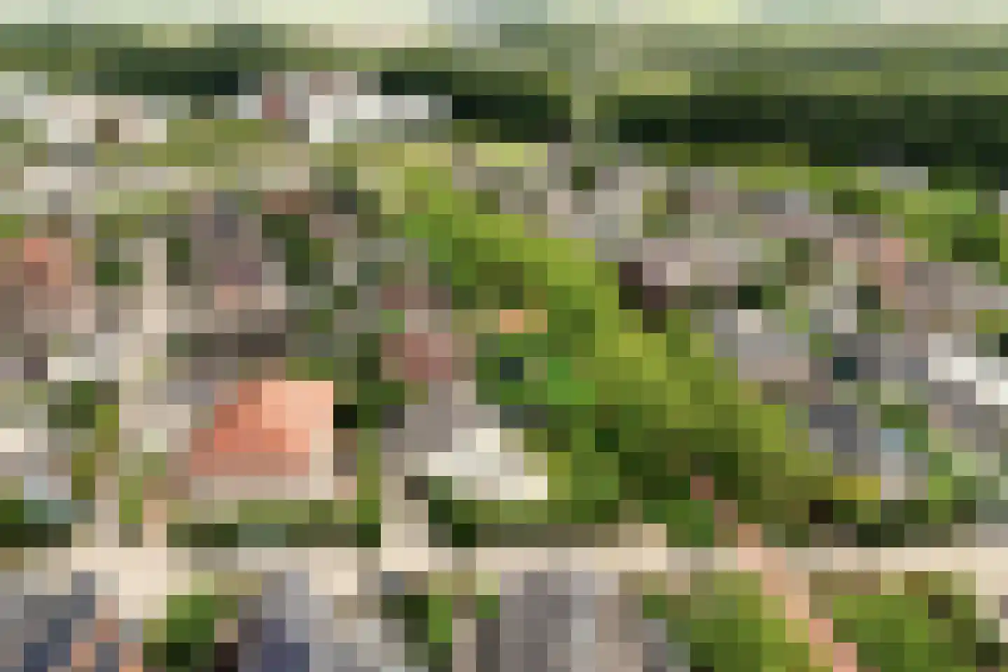 Waterlinie 36 Vijfhuizen thumbnail 67
