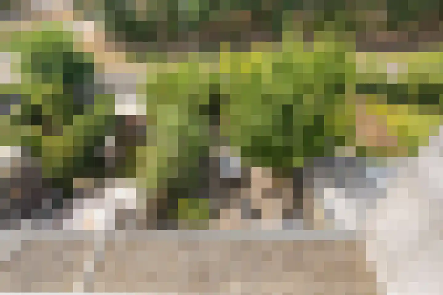 Waterlinie 411 Eindhoven thumbnail 25