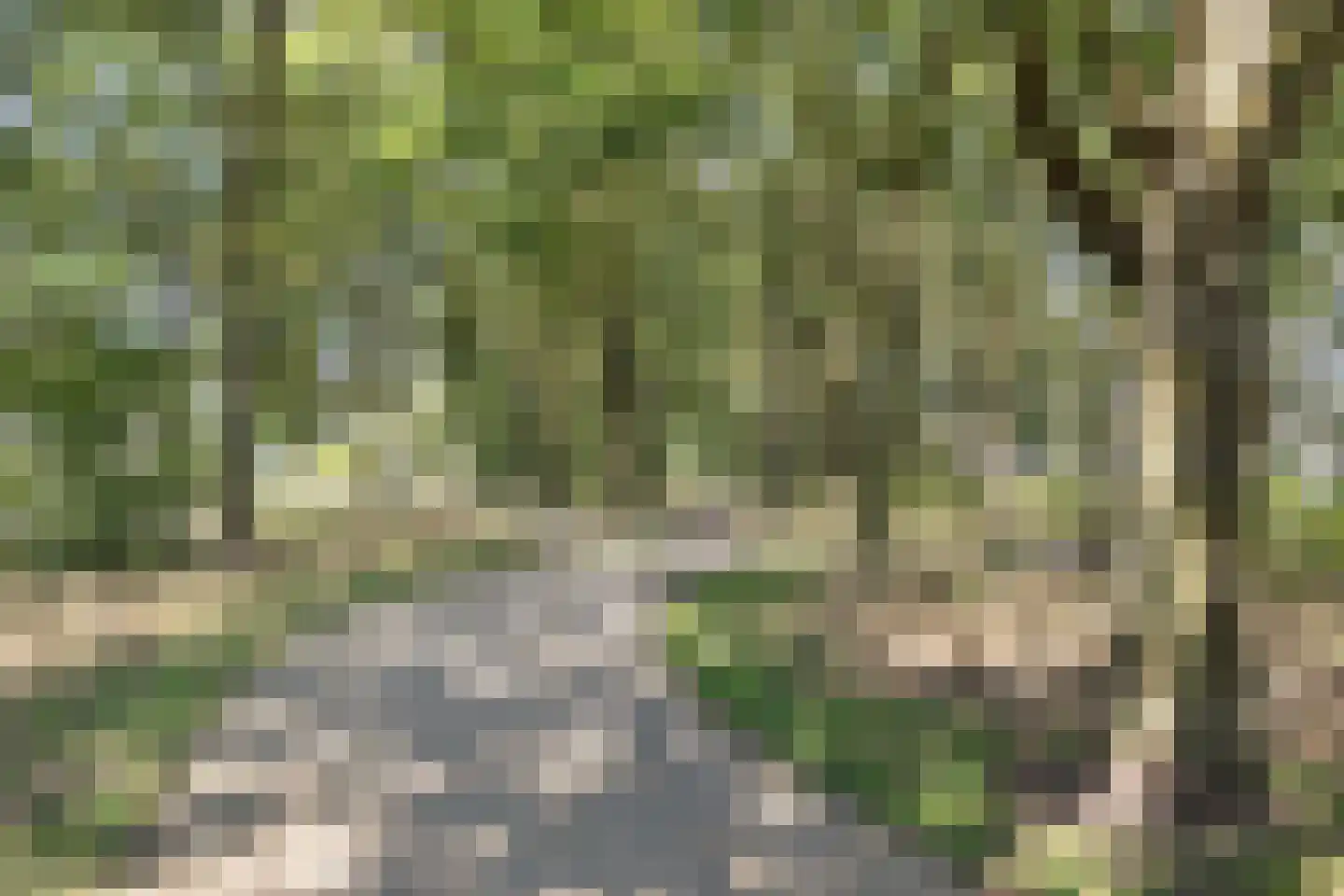 Waterlinie 411 Eindhoven thumbnail 36