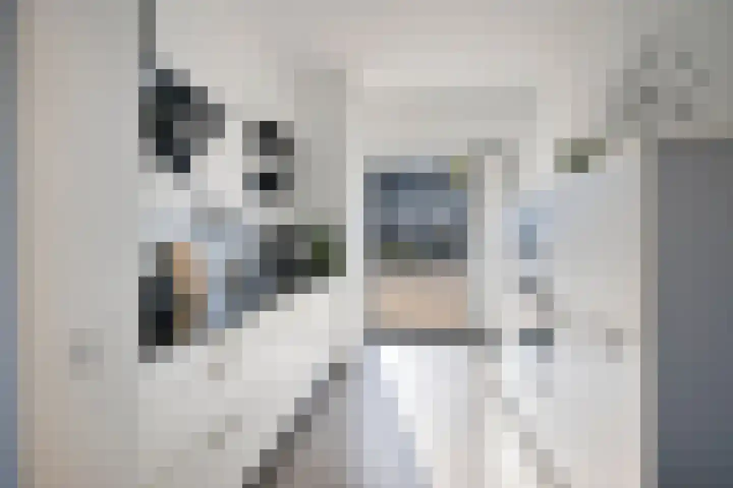 Waterlinie 431 Eindhoven thumbnail 11