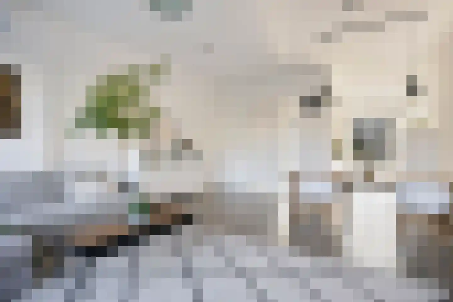 Waterlinie 431 Eindhoven thumbnail 7