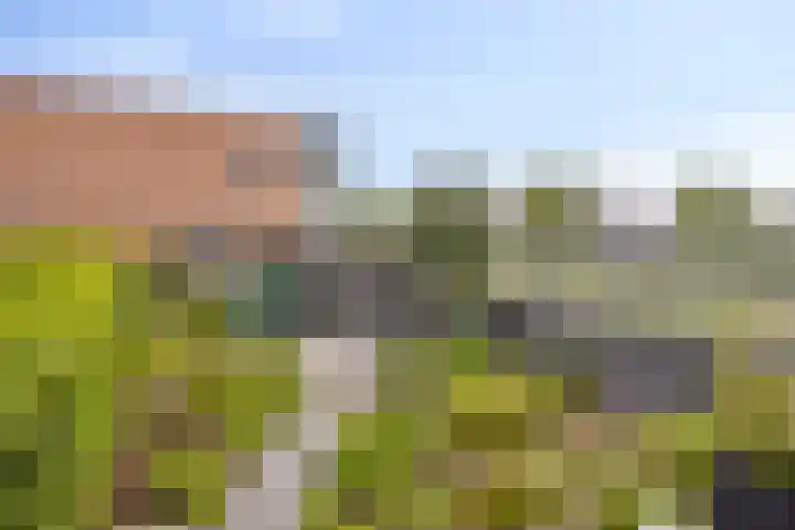Waterlinie 435 Eindhoven thumbnail 11