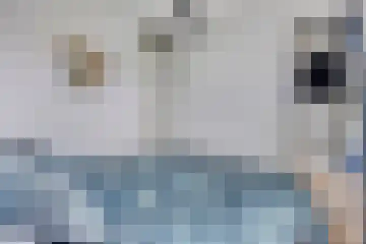 Waterlinie 435 Eindhoven thumbnail 16