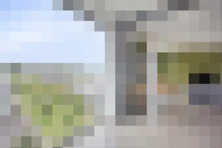 Waterlinie 435 Eindhoven thumbnail 21