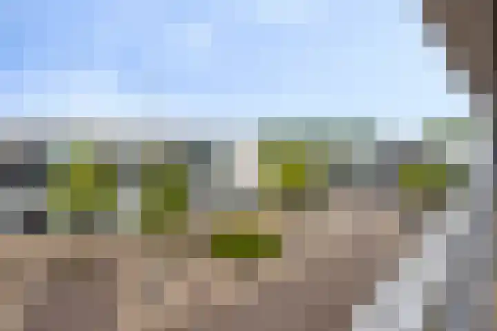 Waterlinie 435 Eindhoven thumbnail 29