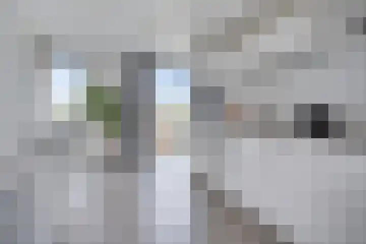 Waterlinie 435 Eindhoven thumbnail 37