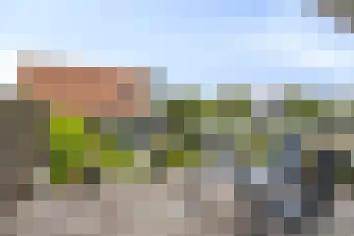 Waterlinie 435 Eindhoven thumbnail 8