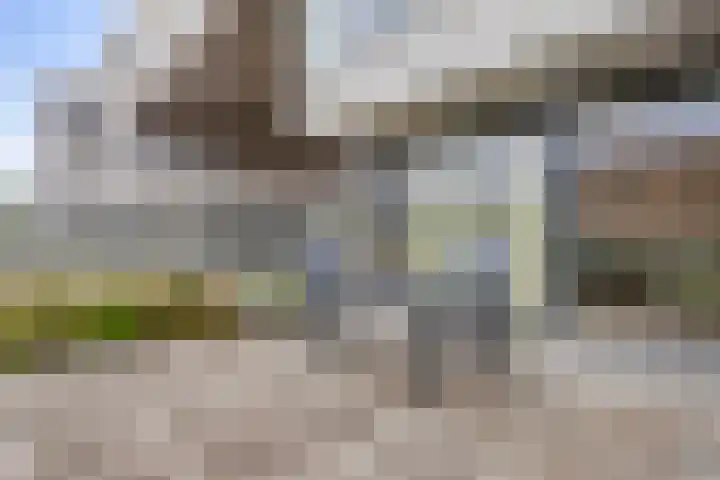 Waterlinie 435 Eindhoven thumbnail 9