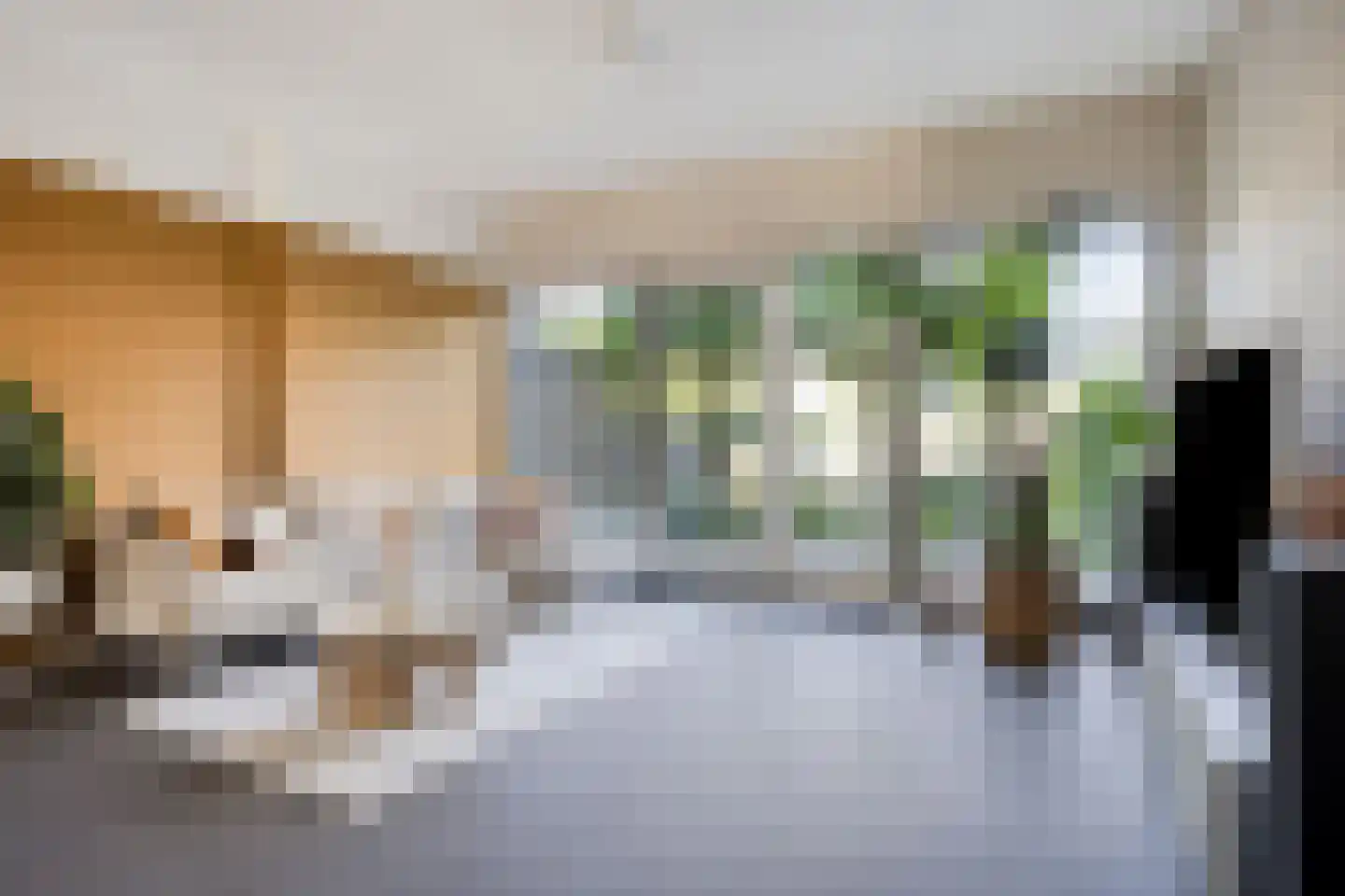 Waterlinie 439 Eindhoven thumbnail 11