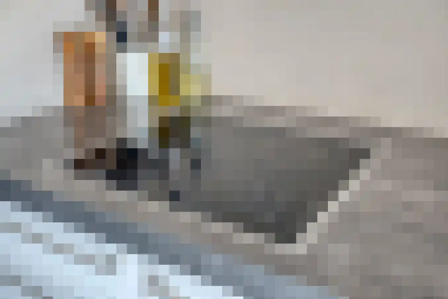 Waterlinie 439 Eindhoven thumbnail 23
