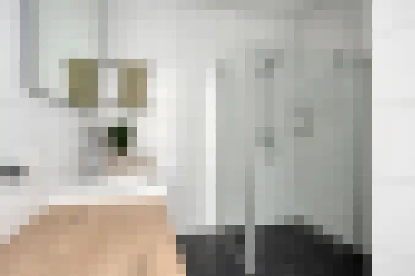 Waterlinie 439 Eindhoven thumbnail 26