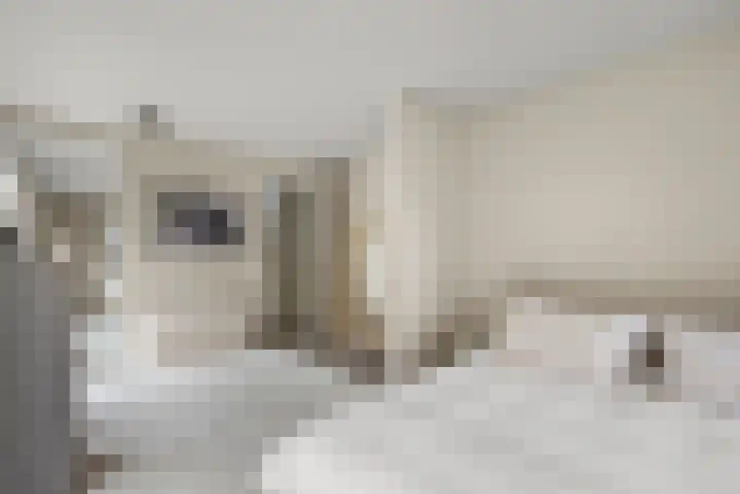 Waterlinie 44 Vijfhuizen thumbnail 40