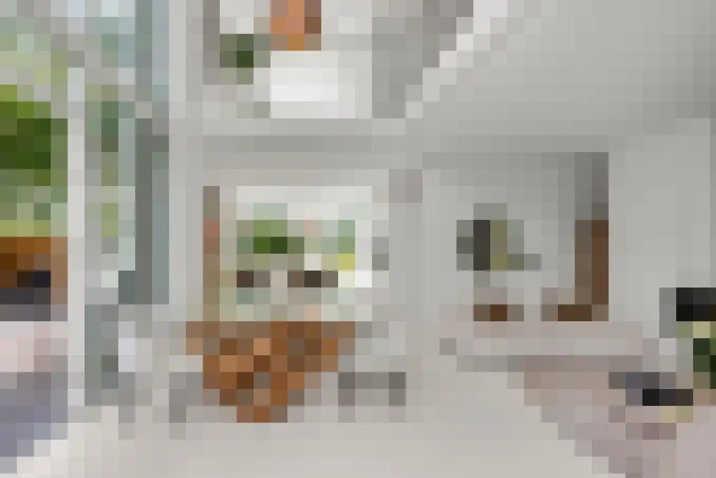 Waterlinie 44 Vijfhuizen thumbnail 8