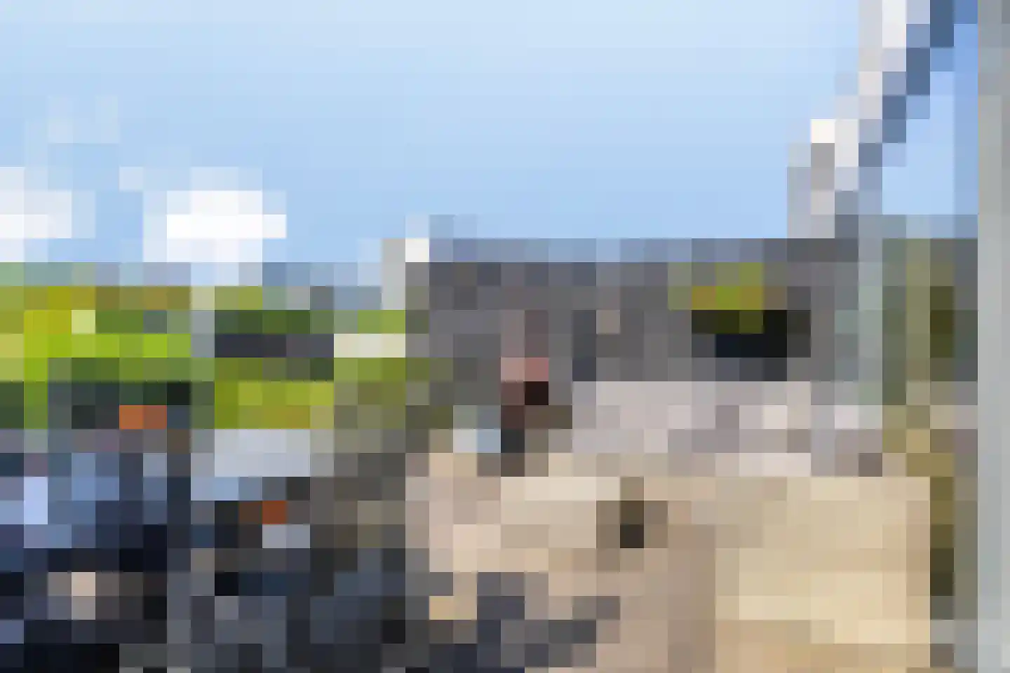 Waterlinie 451 Eindhoven thumbnail 34