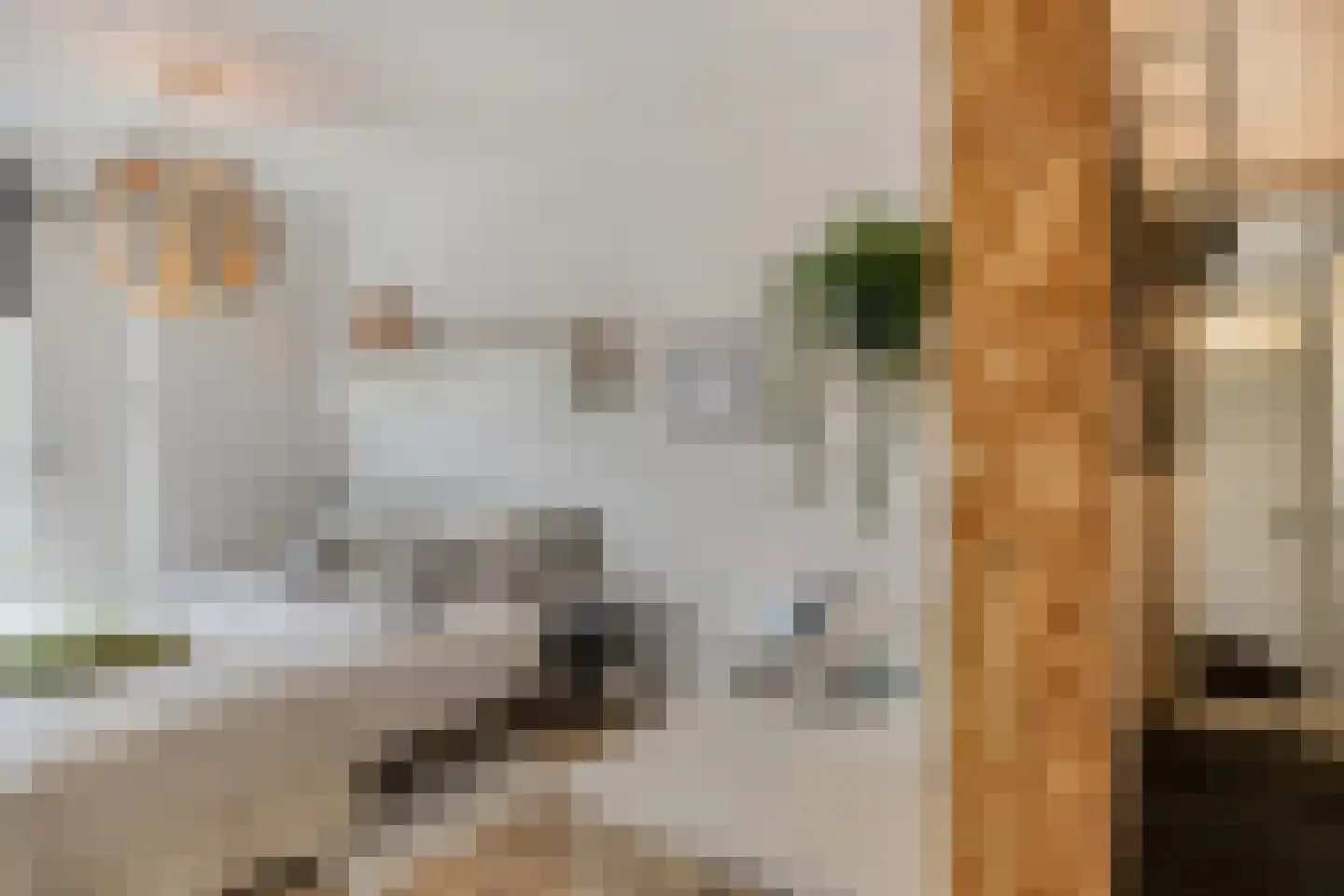 Waterlinie 473 Eindhoven thumbnail 32