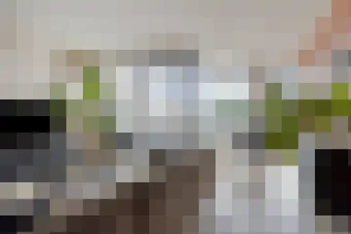 Waterlinie 501 Eindhoven thumbnail 11
