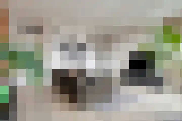 Waterlinie 501 Eindhoven thumbnail 12