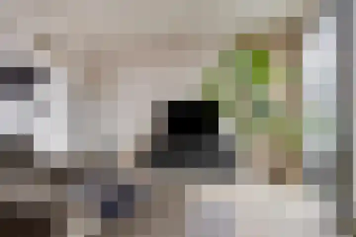 Waterlinie 501 Eindhoven thumbnail 13
