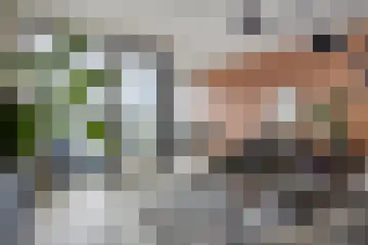 Waterlinie 501 Eindhoven thumbnail 14