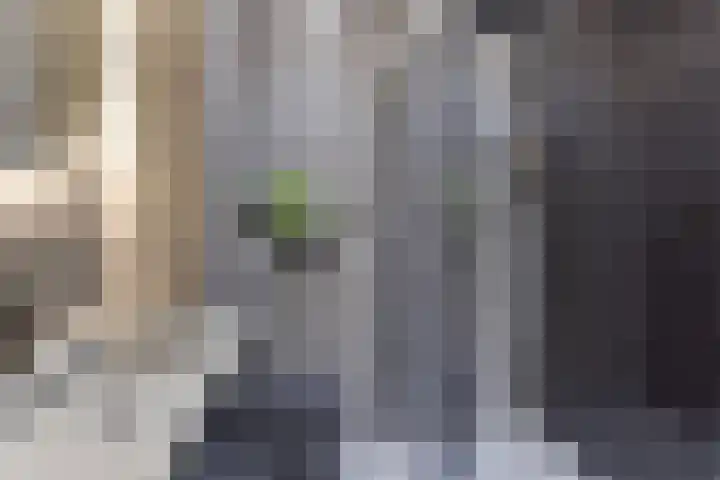 Waterlinie 501 Eindhoven thumbnail 4
