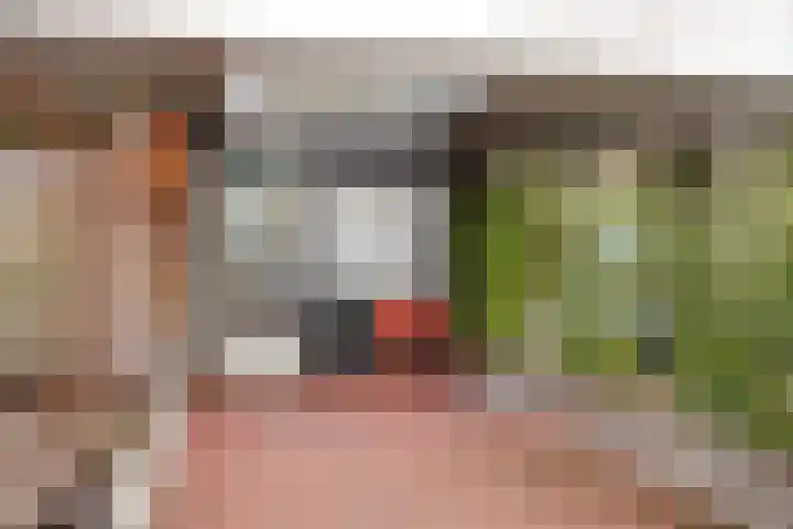 Waterlinie 501 Eindhoven thumbnail 6