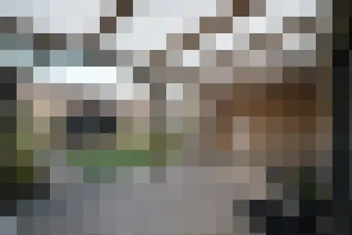 Waterlinie 54 Steenbergen thumbnail 18