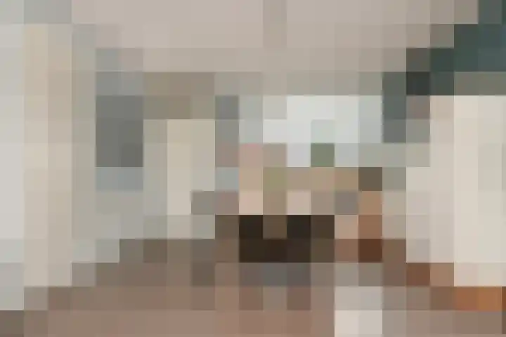 Waterlinie 54 Steenbergen thumbnail 8