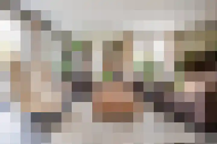 Waterlinie 54 Vijfhuizen thumbnail 12