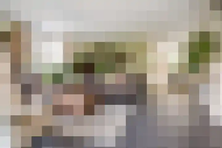 Waterlinie 54 Vijfhuizen thumbnail 13