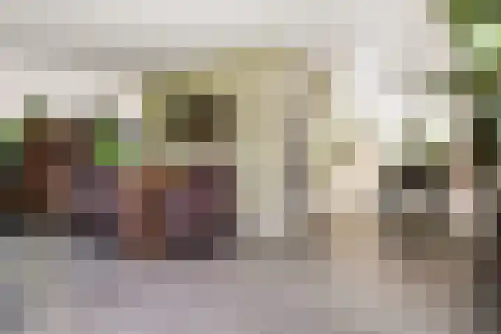 Waterlinie 54 Vijfhuizen thumbnail 16