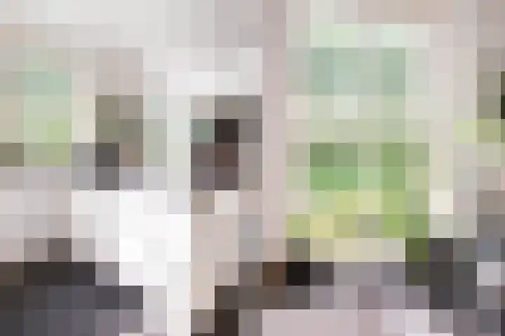 Waterlinie 54 Vijfhuizen thumbnail 19