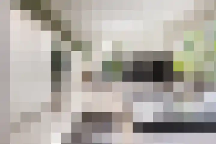 Waterlinie 54 Vijfhuizen thumbnail 20