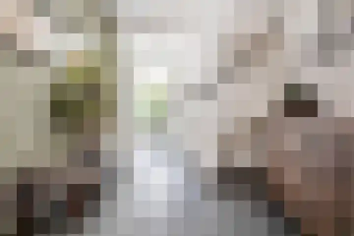 Waterlinie 54 Vijfhuizen thumbnail 21
