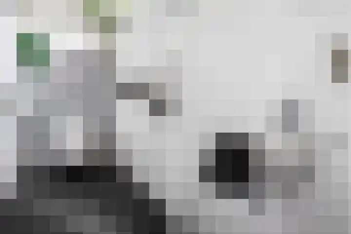 Waterlinie 54 Vijfhuizen thumbnail 22