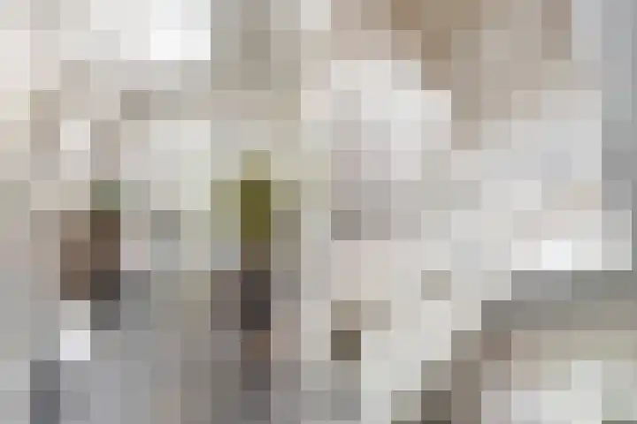 Waterlinie 54 Vijfhuizen thumbnail 23