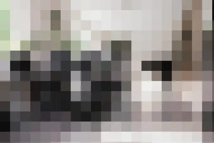 Waterlinie 54 Vijfhuizen thumbnail 26