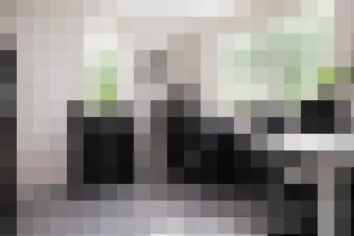 Waterlinie 54 Vijfhuizen thumbnail 27