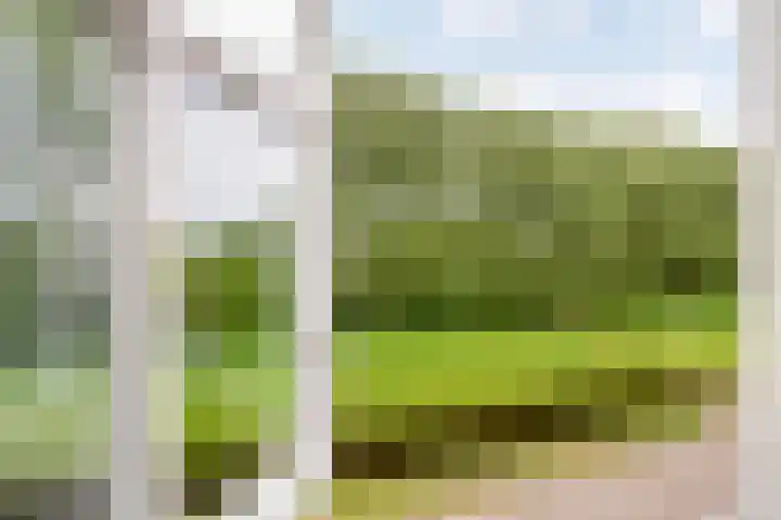 Waterlinie 54 Vijfhuizen thumbnail 28