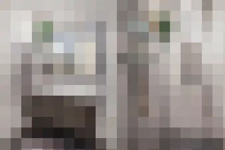 Waterlinie 54 Vijfhuizen thumbnail 32