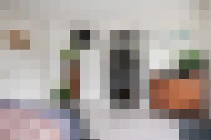 Waterlinie 54 Vijfhuizen thumbnail 37